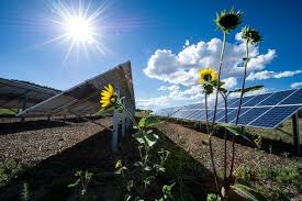 Power Plants & Alternative Energy Resources